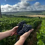 Domaine De Tincourt, Authentic Champagne House * Venteuil