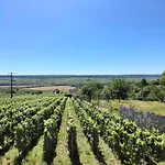 Domaine De Tincourt, Authentic Champagne House * Venteuil