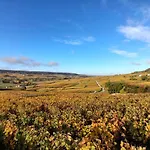 Nyaraló Domaine De Tincourt, Authentic Champagne House *