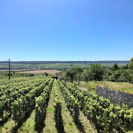 Domaine De Tincourt, Authentic Champagne House * Venteuil