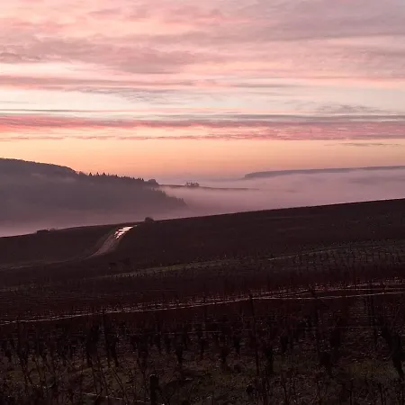 Casa vacanze Domaine De Tincourt, Authentic Champagne House Venteuil