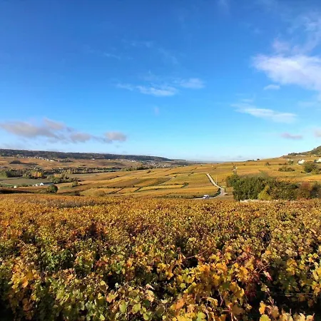 Holiday home Domaine De Tincourt, Authentic Champagne House *