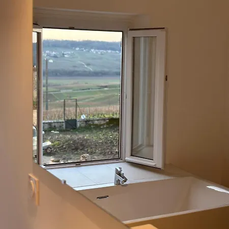 Casa vacanze Domaine De Tincourt, Authentic Champagne House *