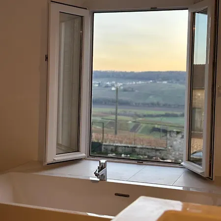 Domaine De Tincourt, Authentic Champagne House Venteuil