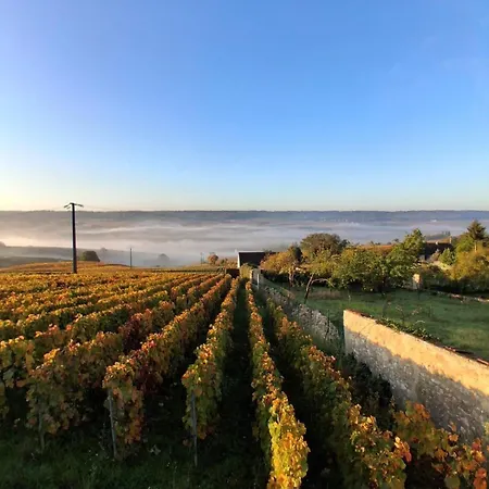 Domaine De Tincourt, Authentic Champagne House * Venteuil