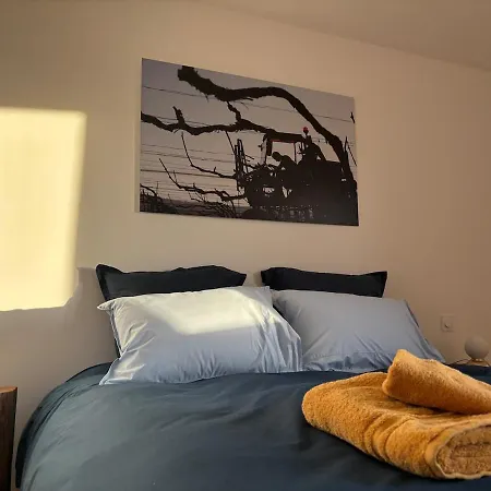 Domaine De Tincourt, Authentic Champagne House Casa vacanze