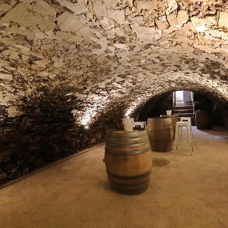 Domaine De Tincourt, Authentic Champagne House Venteuil