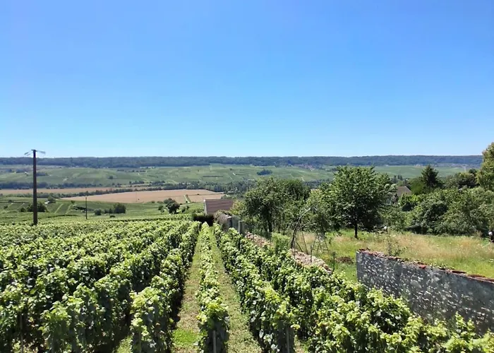 Domaine De Tincourt, Authentic Champagne House * Venteuil