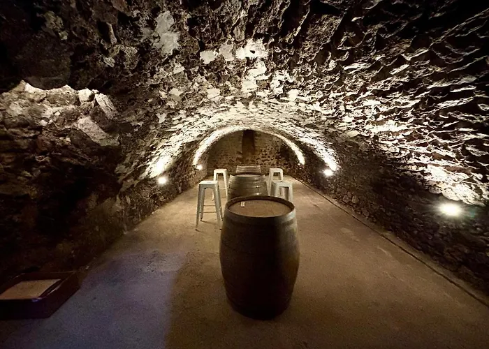 Domaine De Tincourt, Authentic Champagne House Hébergement de vacances