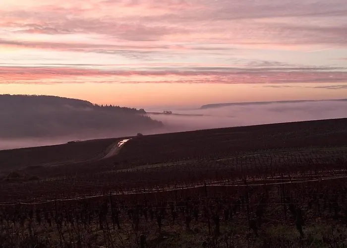 Holiday home Domaine De Tincourt, Authentic Champagne House Venteuil