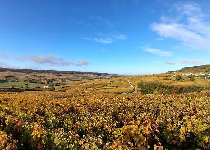 Holiday home Domaine De Tincourt, Authentic Champagne House *