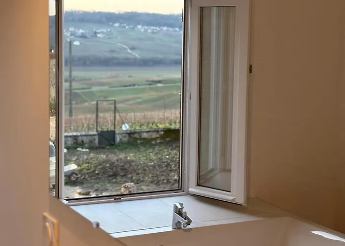 Holiday home Domaine De Tincourt, Authentic Champagne House *