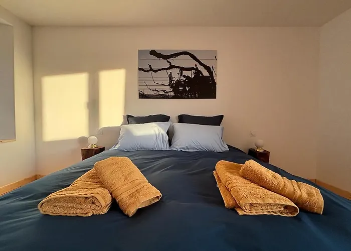 Domaine De Tincourt, Authentic Champagne House Venteuil