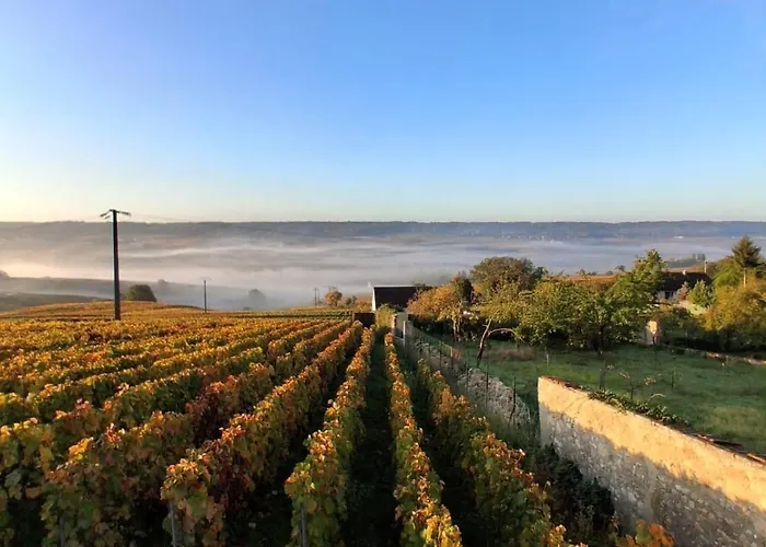 Domaine De Tincourt, Authentic Champagne House * Venteuil