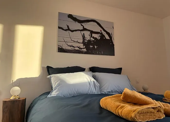 Domaine De Tincourt, Authentic Champagne House Hébergement de vacances